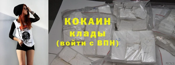 твердый Горняк
