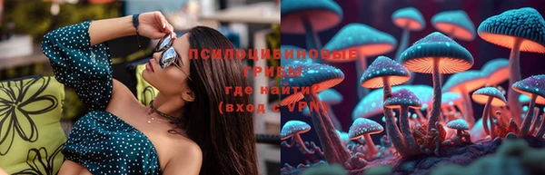 твердый Горняк