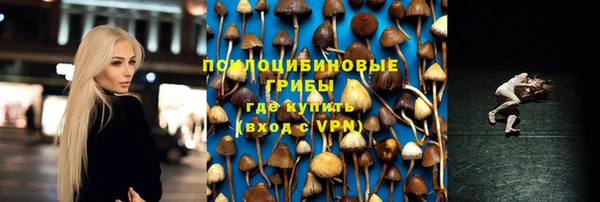 PSILOCYBIN Вязьма