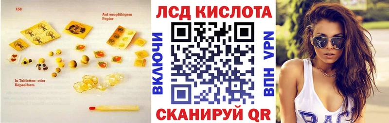 Купить закладки  Волгореченск  Лсд 25 экстази ecstasy 
